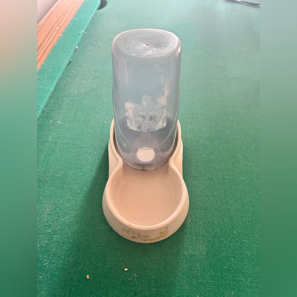 Pet Water Dispenser with Beige Base